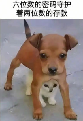 我是一个很有规则的人