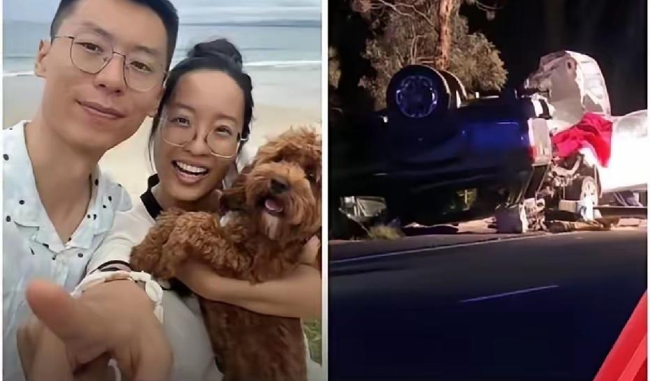 一对在澳洲的华人夫妻，才三十出头，正是最好的年纪。更难得的是，男方是牙医诊所经理