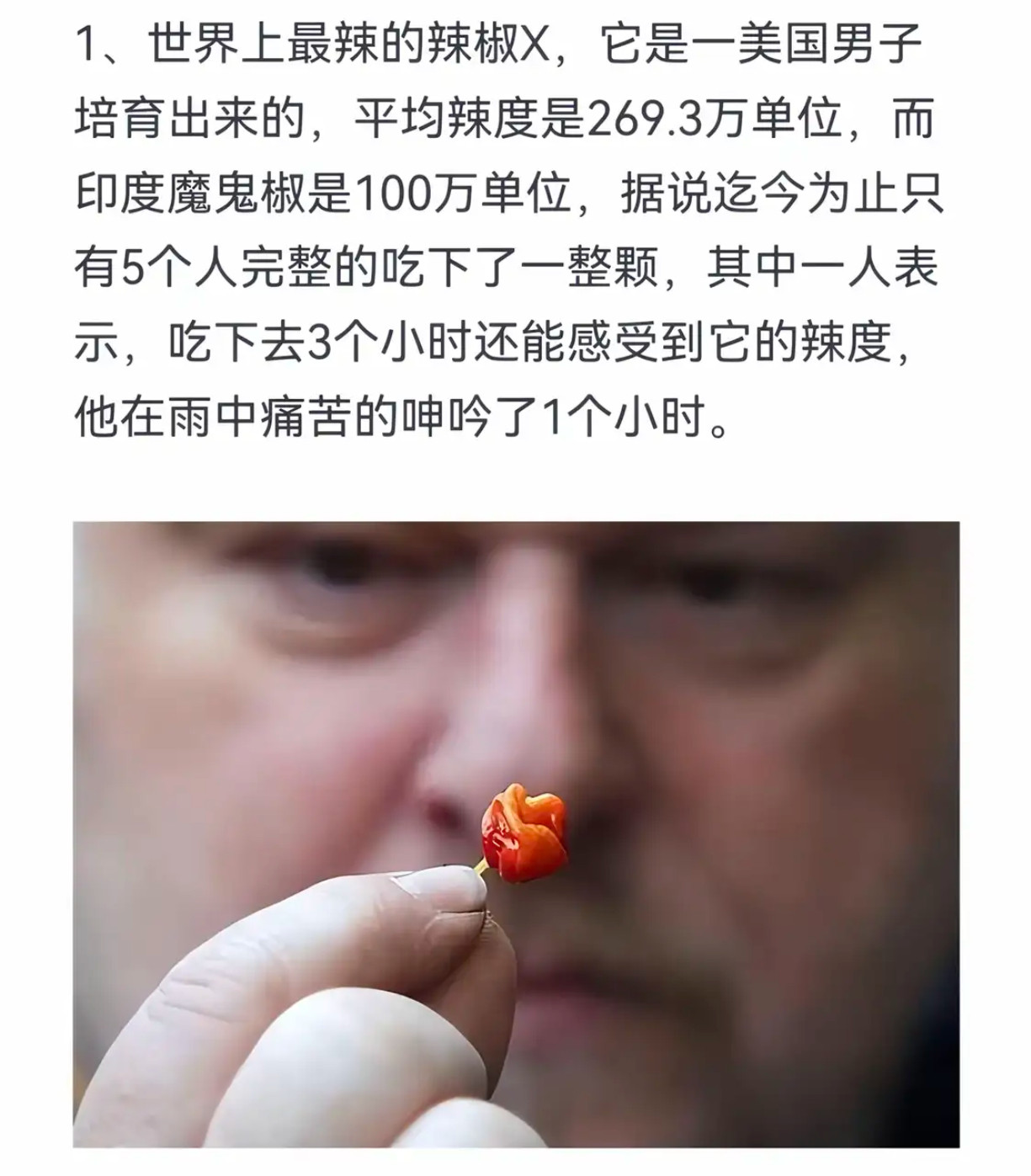 全球最辣辣椒！仅5人敢整颗吃下，雨中痛苦呻吟1小时​​​