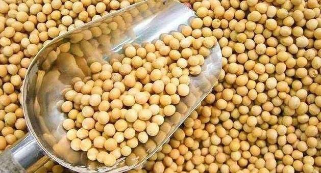 所以每年中国也要从其他国家购买很多粮食进行