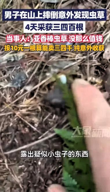 “这就是命啊！”2026年2月，贵州开阳，一男子上山游玩，不慎摔了一跤，意外发现