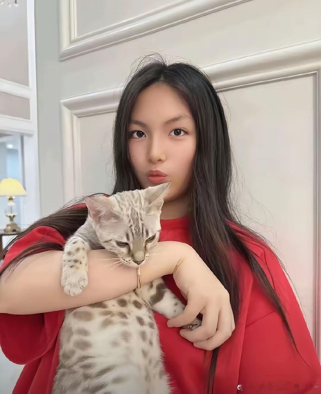 李湘给王诗龄买的孟加拉豹猫，传说身价超过五位数，它的皮毛是咖啡与银灰交织的豹纹，