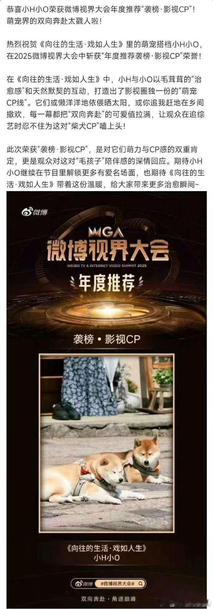 小H小O获影视CP哈哈哈哈不行了，那么影视CP结果选了小H小O​​​
