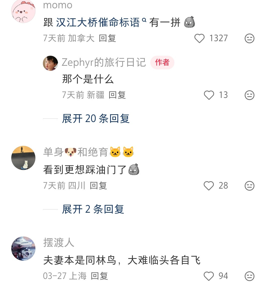 不提另一半太正常了，没几个在意另一半的。而且最重要的是另一半自己能照顾自己，老人