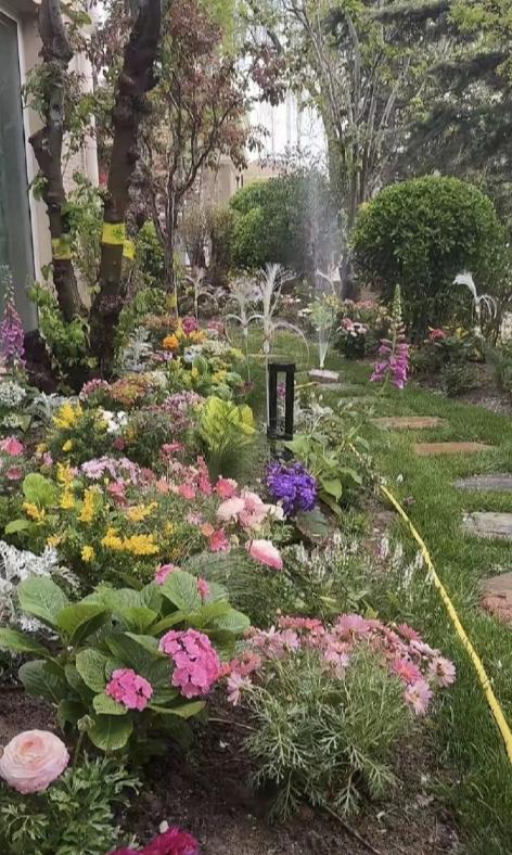 当付出成为一种习惯，索取变得理所当然，张兰做的已经比很多母亲出色了。马筱梅住不