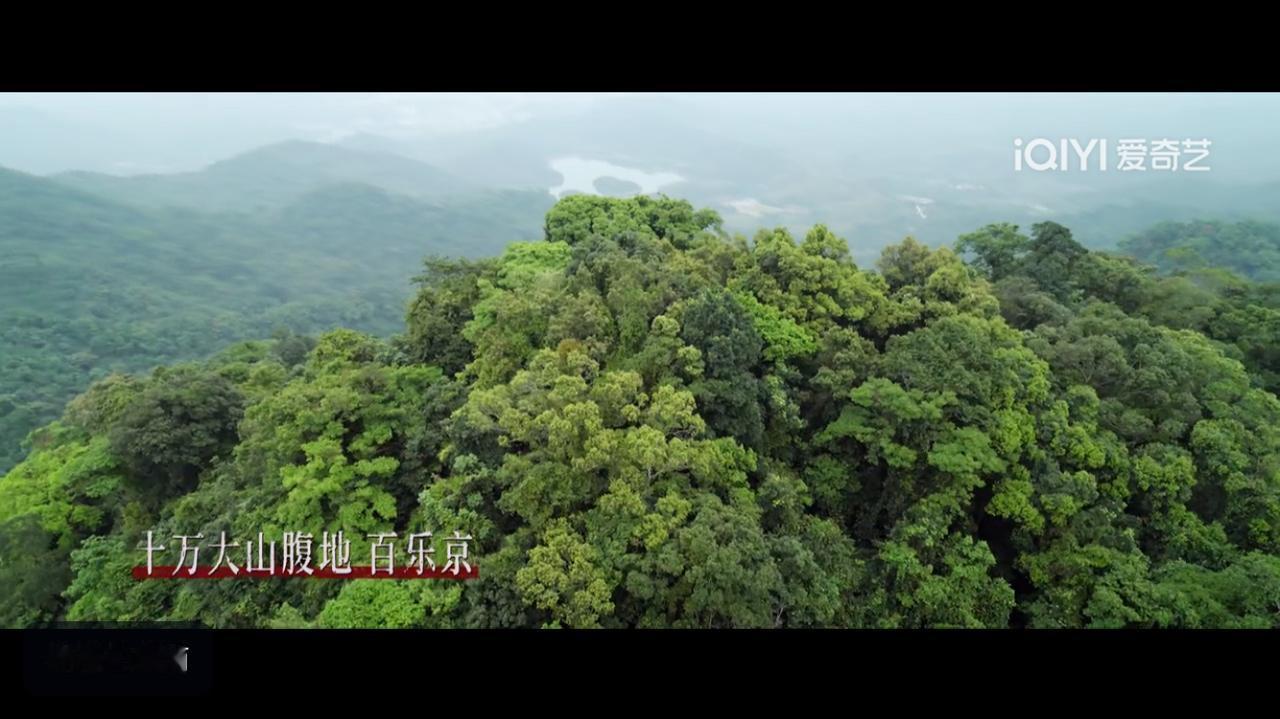 南部档案贵州那个是蛇祖好像也是来自贵州的，这个飞坤爸鲁庙莫名其妙让我想起了那个和