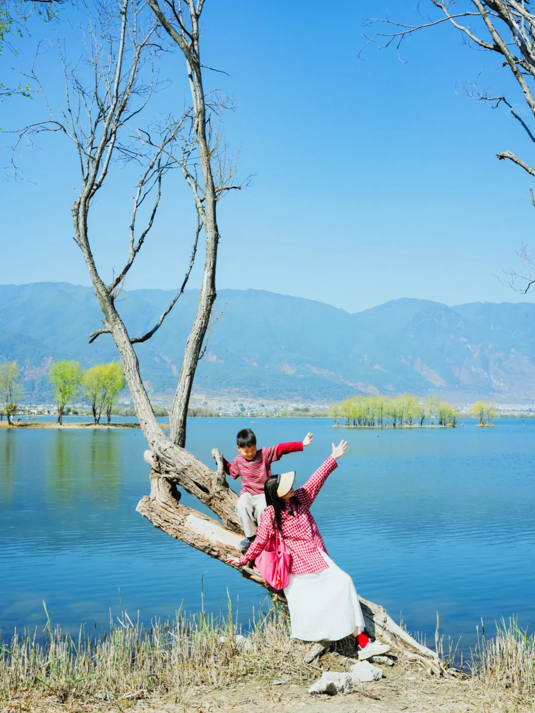 来了33次大理，最喜欢的还是这里。真的清净