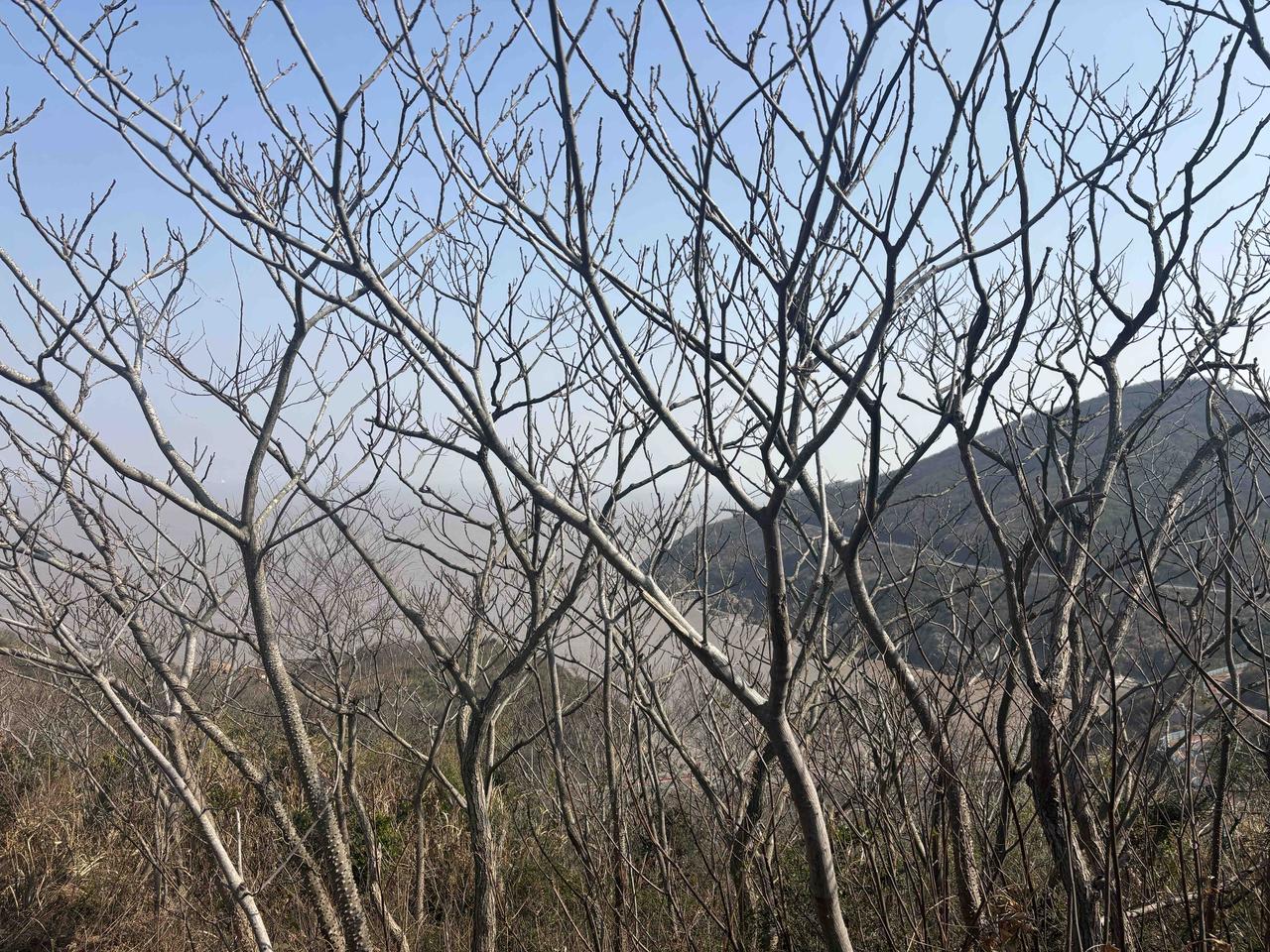 今日大盘是否在洗盘？明日该如何操作？注意哪些板块？今日是结构性洗盘，资金从高