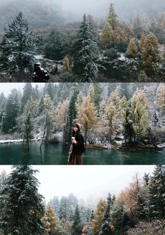 10.31☃️玛嘉沟｜撒了糖霜的彩林🍂早早定的行程即使知道有寒潮也硬着