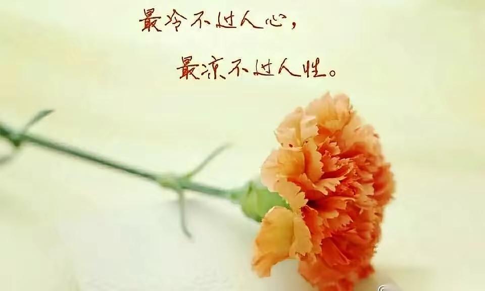 手机突然响了，屏幕上跳着“外甥女”三个字，我接起还没说话，她张嘴就跟我要创业的钱