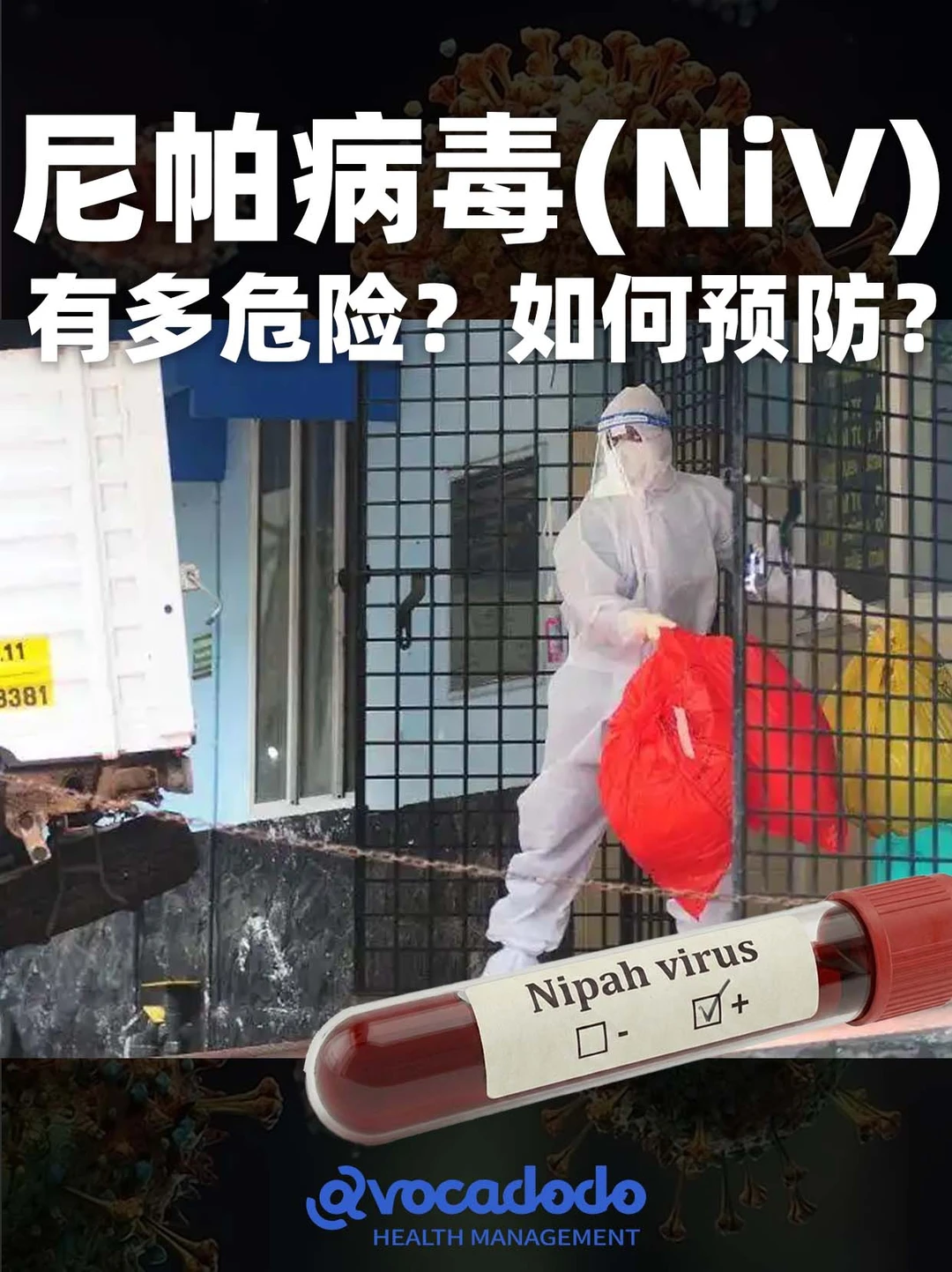 一文读懂尼帕病毒预防全攻略