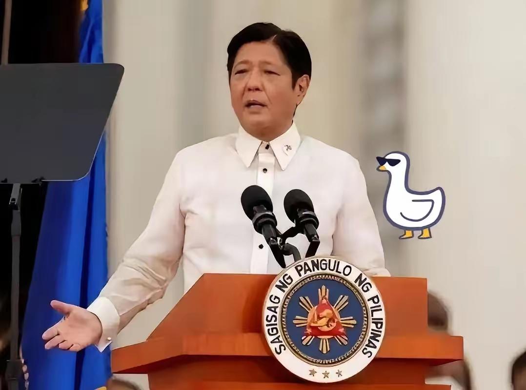 快报，快报菲律宾正式宣布11月9日，菲律宾国家减灾委传来揪心消息，台风“海鸥