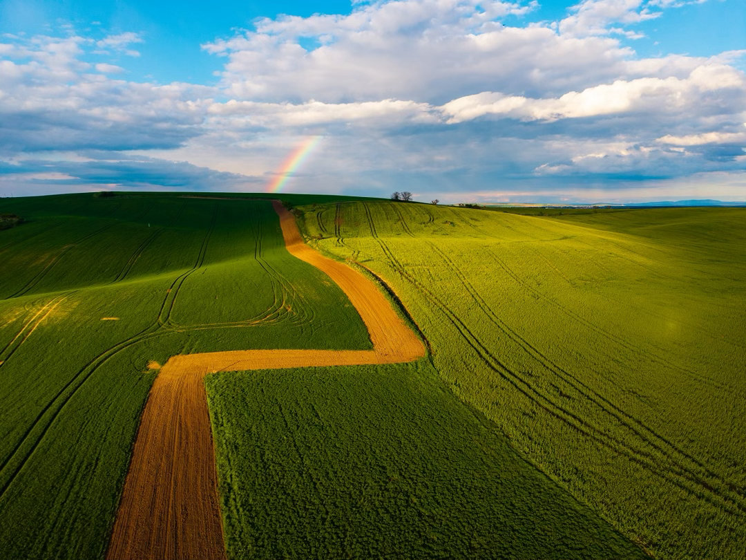捷克南部·摩拉维亚。春天的田野，从空中看像大地的笔触。起伏的线条、拉长的树影、动