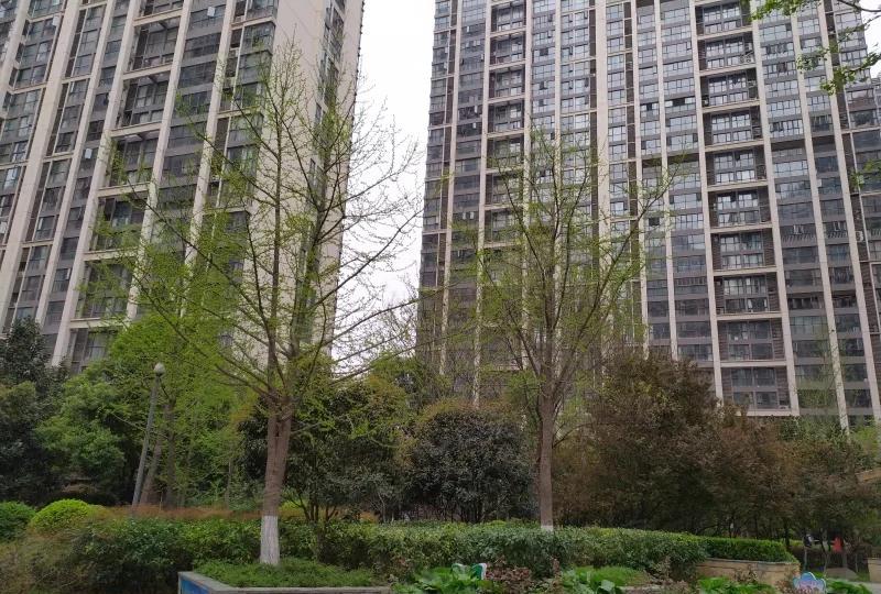 我搬到这个新小区两年了，几乎没和邻居打过交道。说得直白点：在电梯里遇见，顶多点