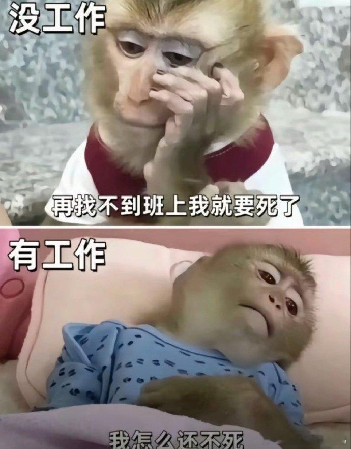 在职和不在职，各有烦恼所以我什么时候可以退休？搞笑​​​