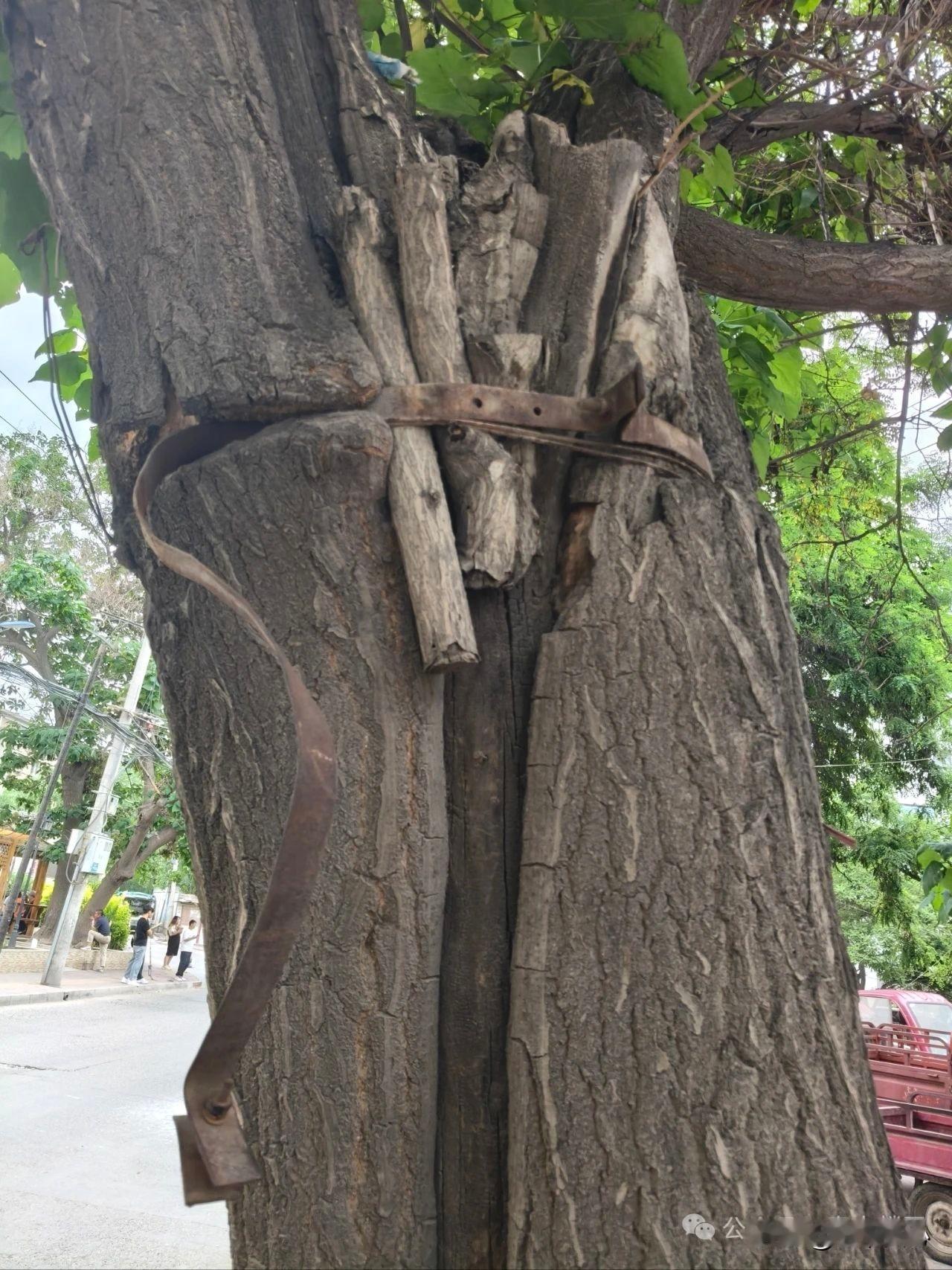 一个懒字可以让人生成为笑话在精准扶贫过程中，终于深入了解一个人的人生在