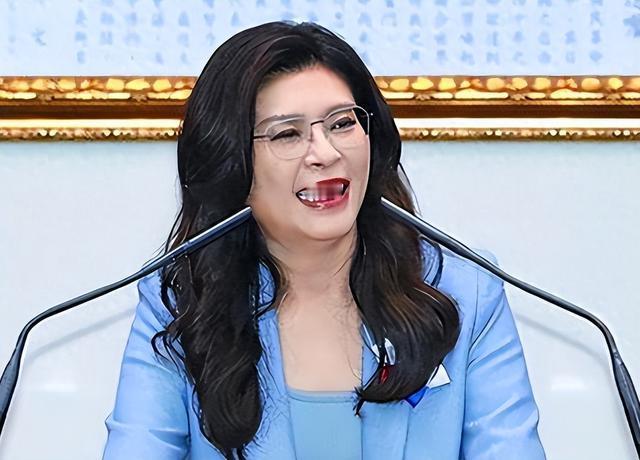 四大蓝营大佬，各怀心思，要把郑丽文拉下水！国民党现在是个内斗内行、外斗外行。当
