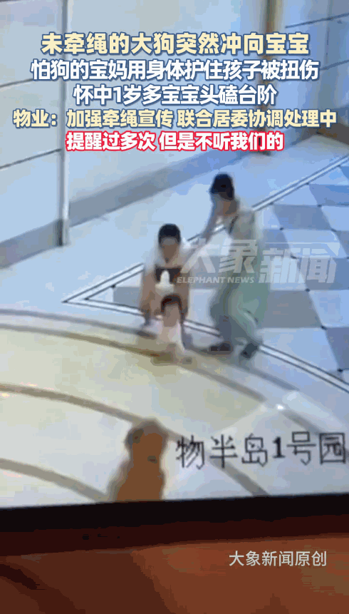 “必须严惩！”广东广州，一女子正带着孩子在楼下玩耍，突然，一条没有栓绳的大狗冲向