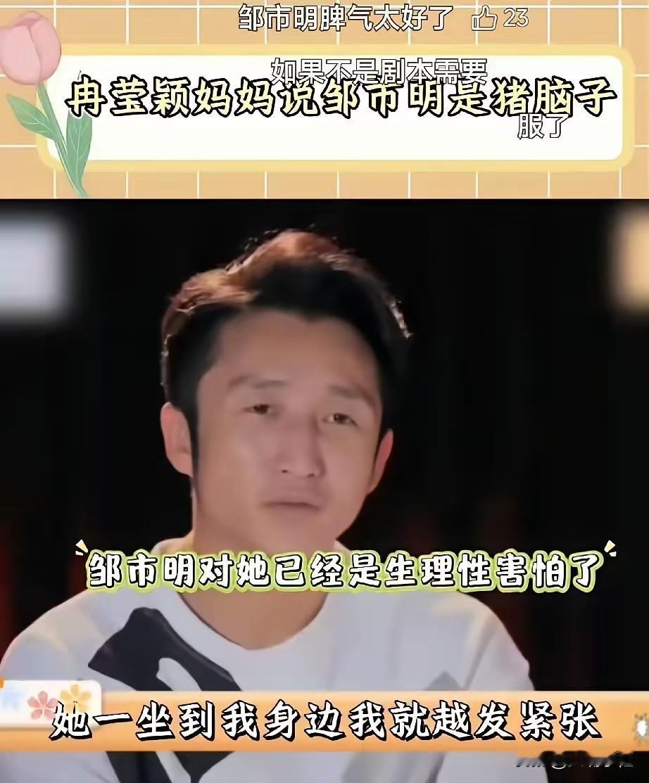看邹市明丈母娘当着镜头骂他，如果时间倒回，邹市明还会拒绝进体制内吗？2017