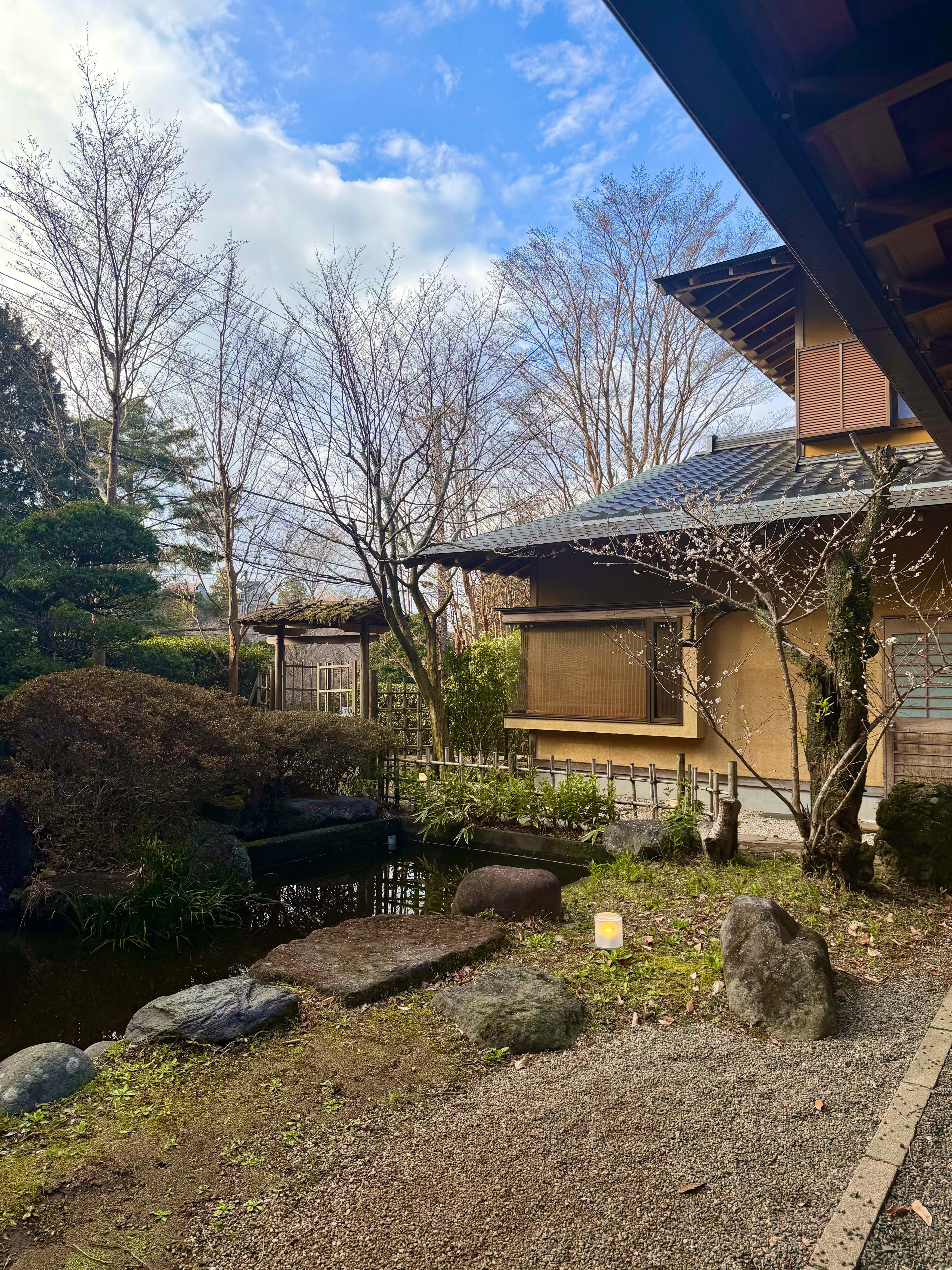 3月的伊豆还是有点冷，泡一泡温泉♨️日本