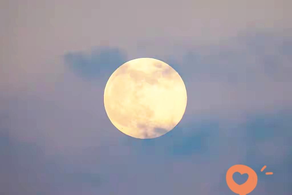 超级月亮惊艳大图来了！一轮皓月悬夜空，美到让人窒息谁懂啊！今晚的超级月亮也