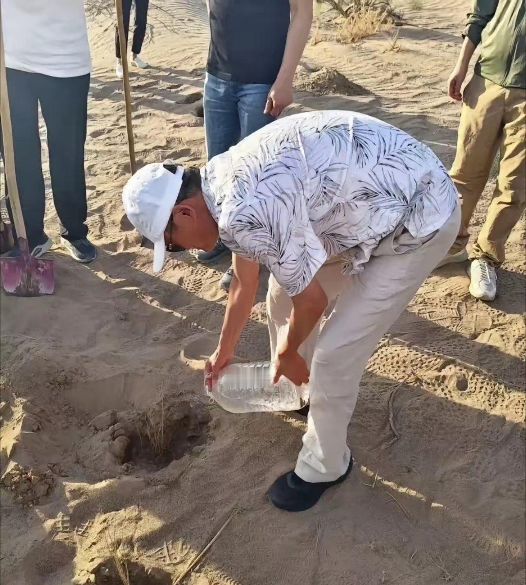 马云现身甘肃治沙公益，沙漠烈日下亲手植树，席地和村民吃西瓜，毫无排场十分亲民
