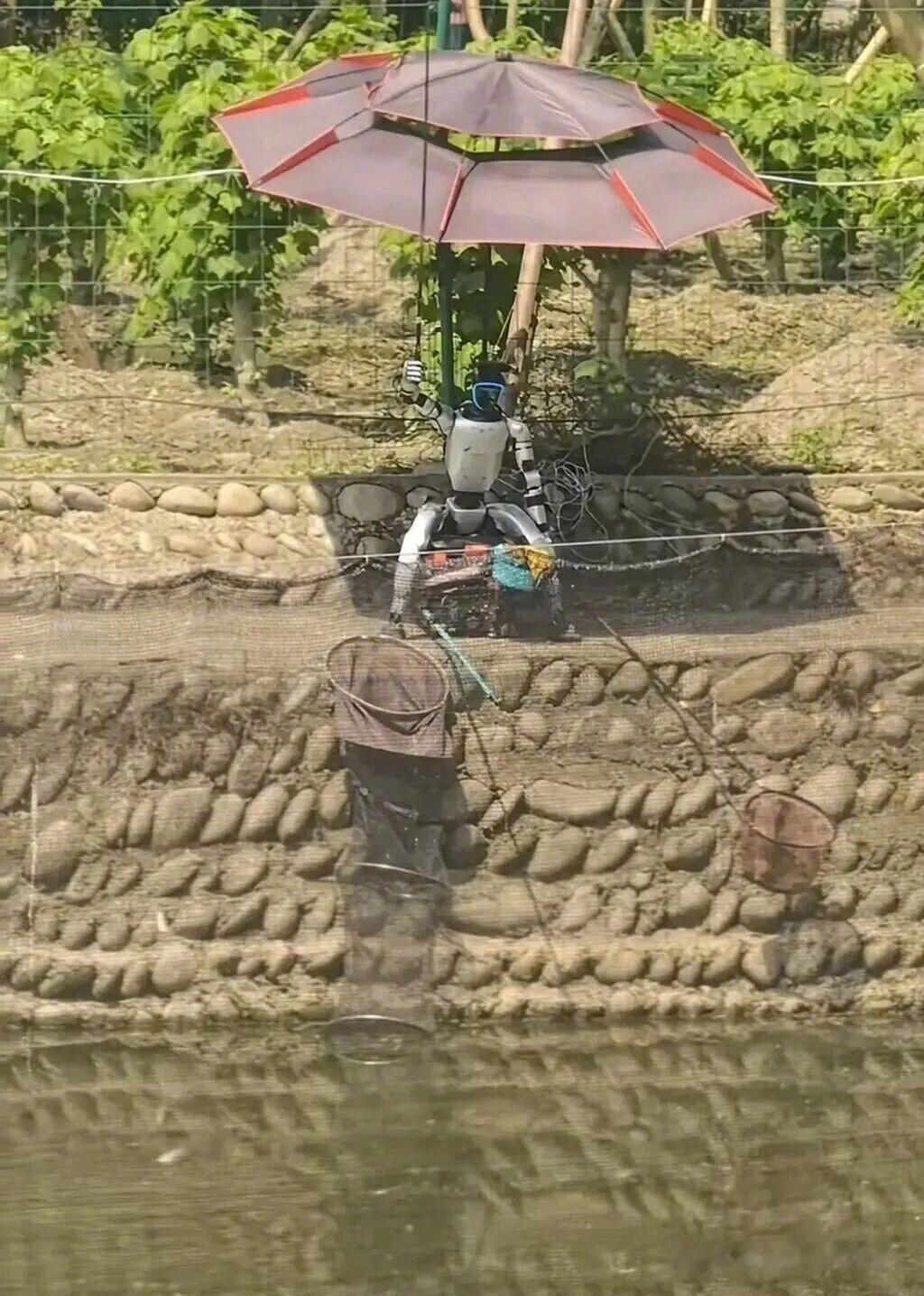 “我在工作，我的机器人去钓鱼！”