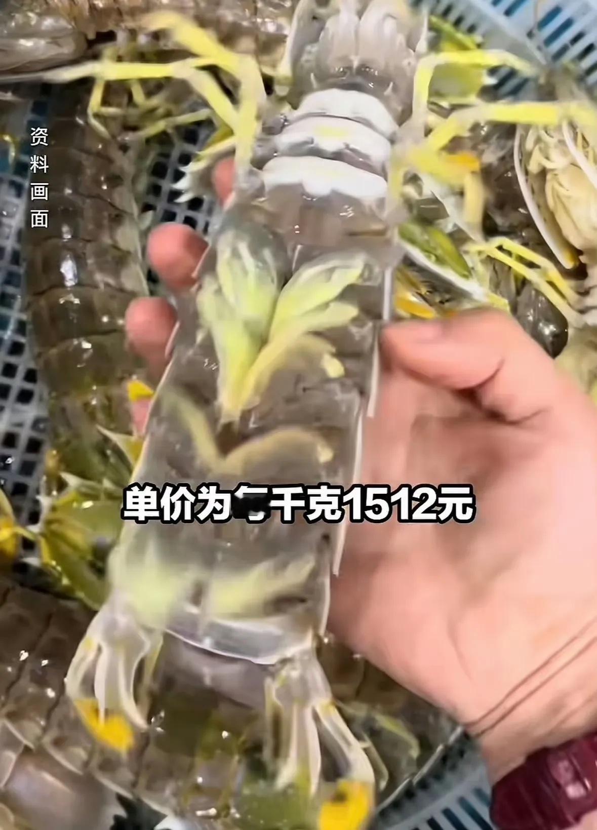 4只皮皮虾1035元涉事海鲜店回应出门旅游吃饭，尤其是吃海鲜，一定要提前问明白。