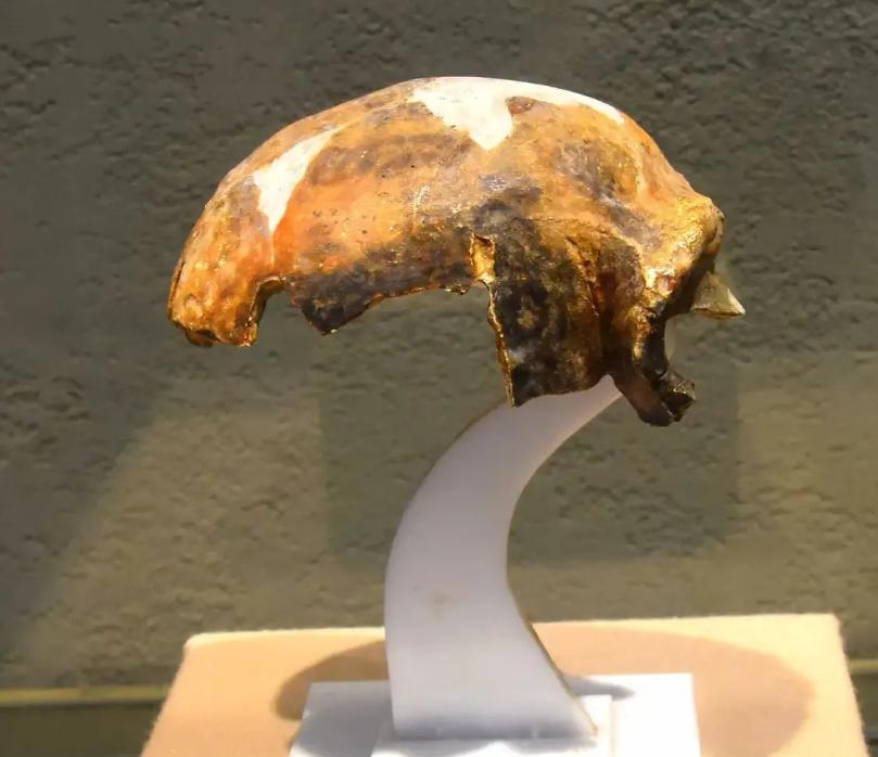 1958年，广东一农民发现，一座小山附近的水稻，长得比其他地方茂盛很多，便爬上小