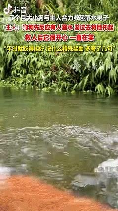 太有灵性了！广东，一对小情侣带着狗子去河边玩，不料听到有人溺水后，狗子比主人