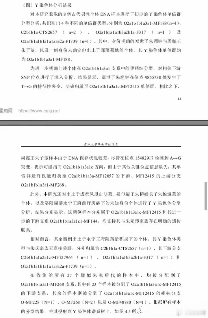 基因里的“纯汉”正统：朱元璋家族的古DNA密码吉林大学团队对明代藩王墓出土人骨进行的古DNA分析，为