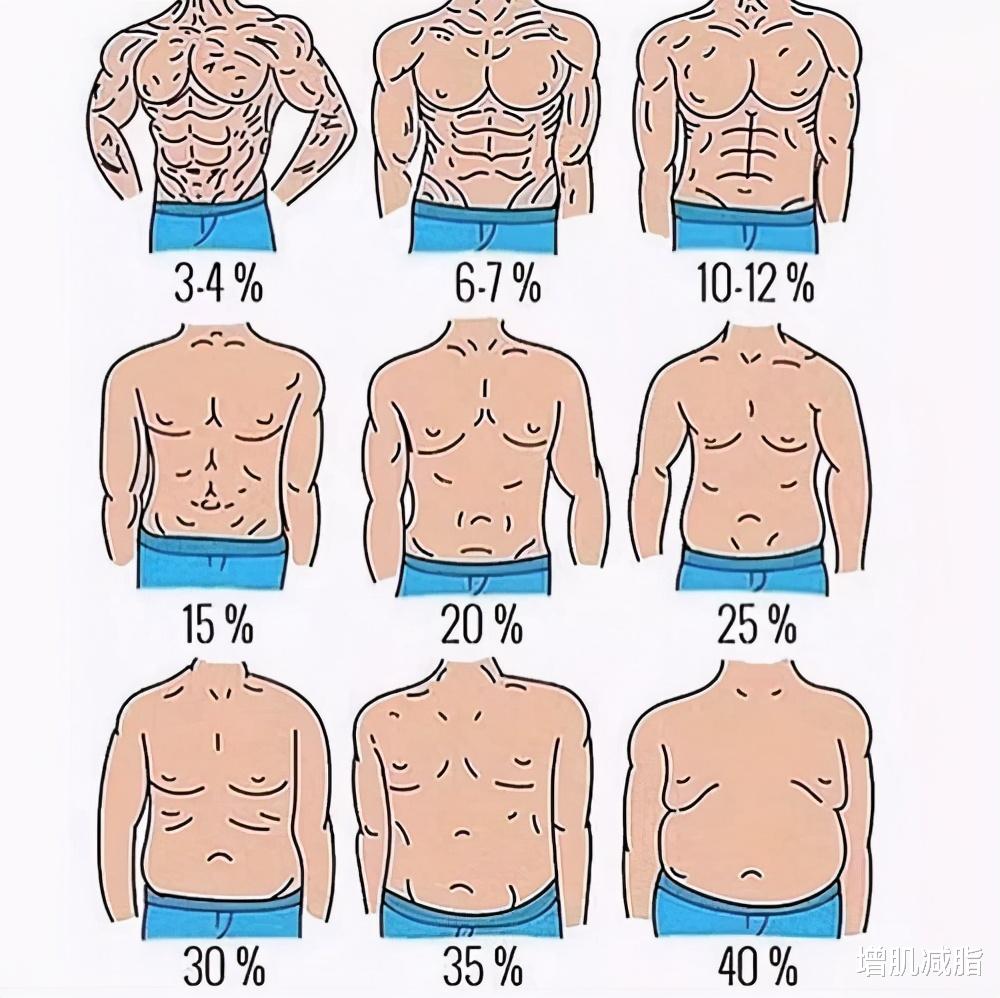 但是有的人天生腹肌不对称,有的人天生腹肌是对称的