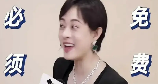 孙俪透露，她听闻在西安的小吃街，所有售卖镜糕的摊位都张贴着她的照片。然而，这些使