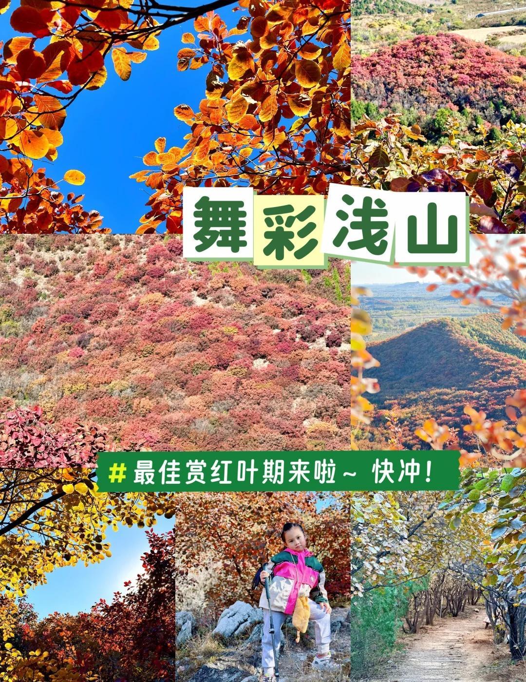 京郊1h免费赏红叶🍁|错过又要等一年啦~前两周爬了舞彩浅山的酸枣峪沟段,本想