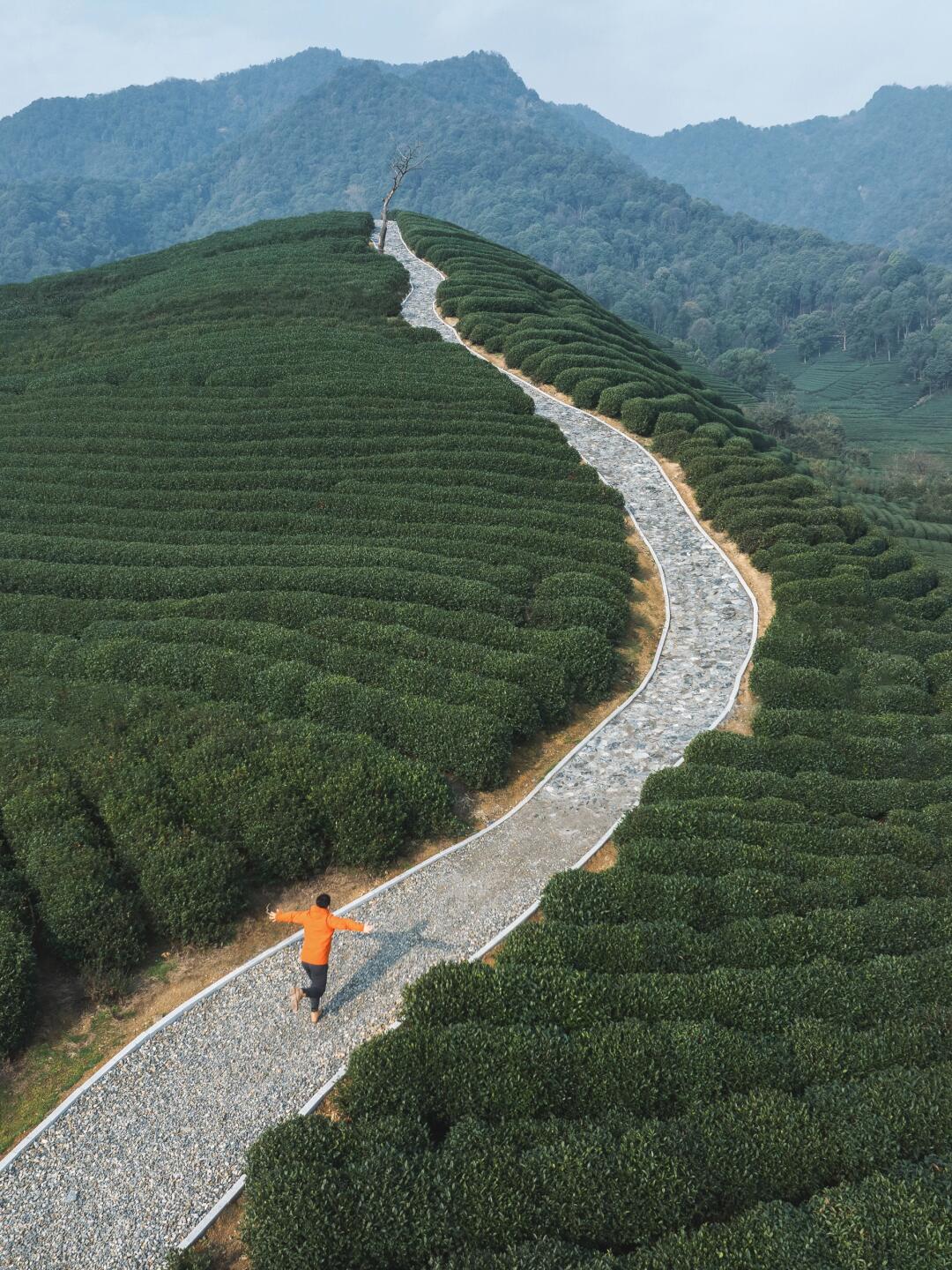 比起西湖，我更爱这绿色的山野秘境🍃