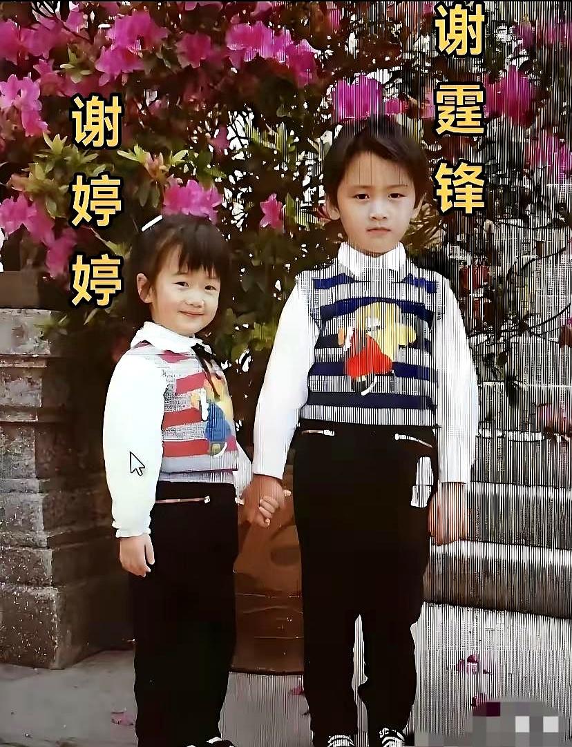 难怪谢霆锋最近连轴转开演唱会拼命搞钱，原来是在给亲妹妹当“提款机”和超级后盾啊！