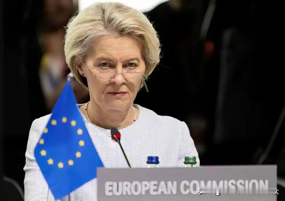 中方果断反制，欧盟“深感担忧”​​商务部最新消息，因为欧盟出口到中国的乳制品存