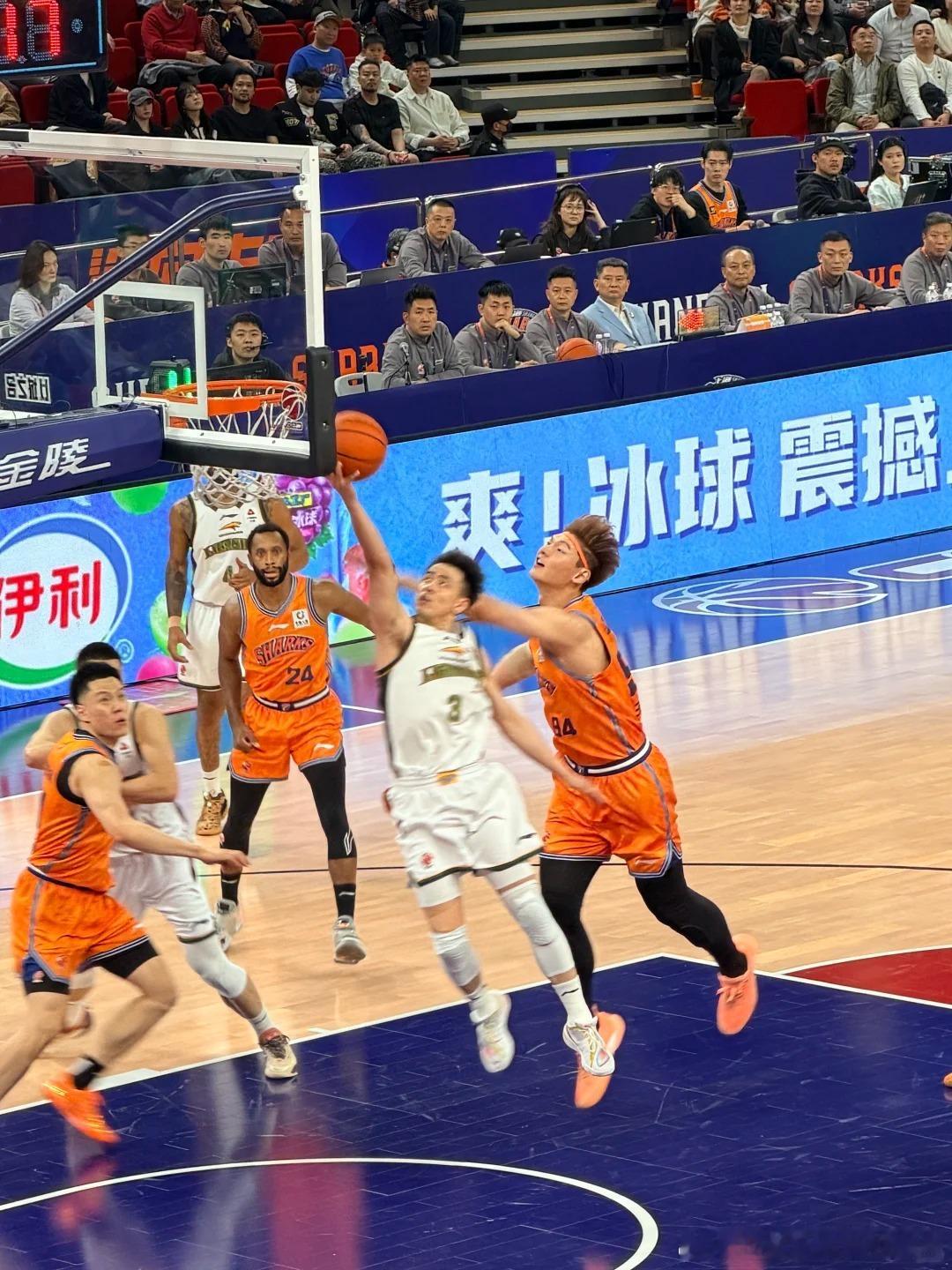 明天是2025-26赛季CBA常规赛收官轮，目前已有5个排名彻底锁定：第1上海、