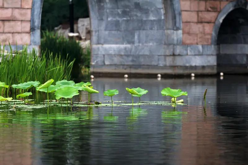 这首《七绝•秋意》韵味十足！“旧榭风凄落叶绵”，起句便描绘出一幅秋风瑟瑟、落叶纷