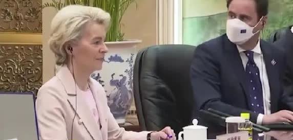 冯德莱恩舔到火盆上。美国对欧盟征关税30%。冯德莱恩控制欧盟后，成为实际