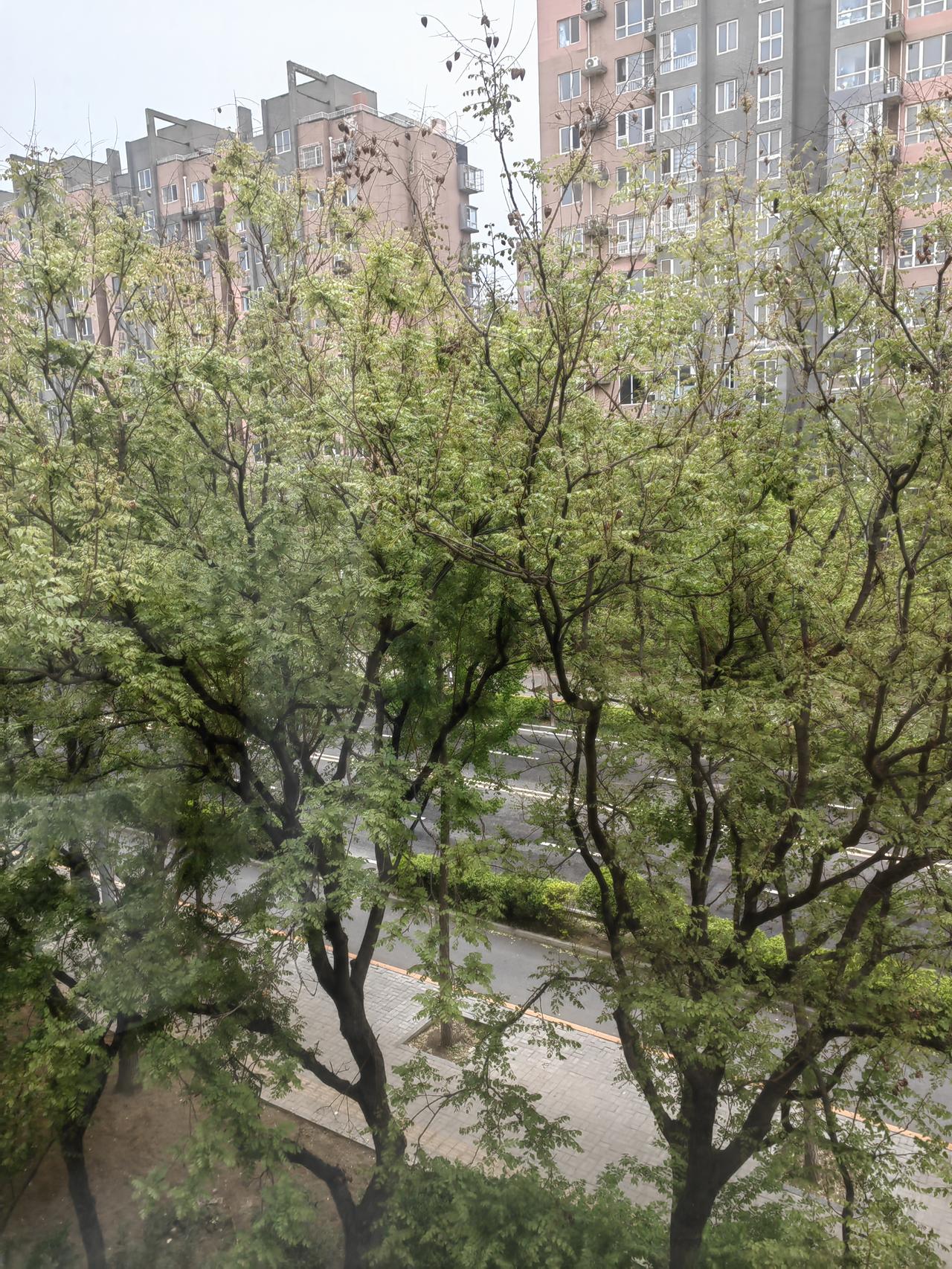 小房子决定出租，中介说有两种方式，一种直租，一种代管。各有优劣。下午，老公跟