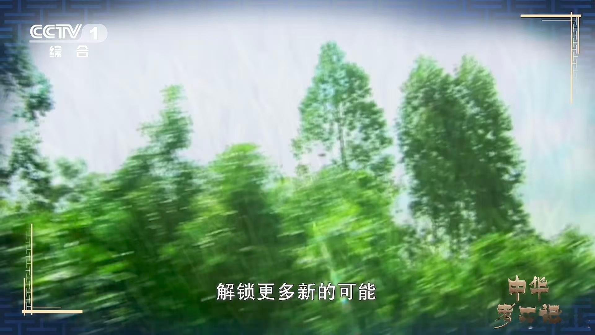 中国人造太阳燃料取自海水中国人造太阳硬核上分可控核聚变燃料取自海，绿色能源中国硬