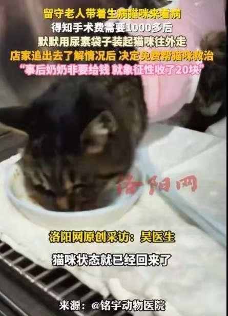 河北石家庄一位留守老人，带着生病的猫咪去宠物医院就诊，得知手术费需1000多