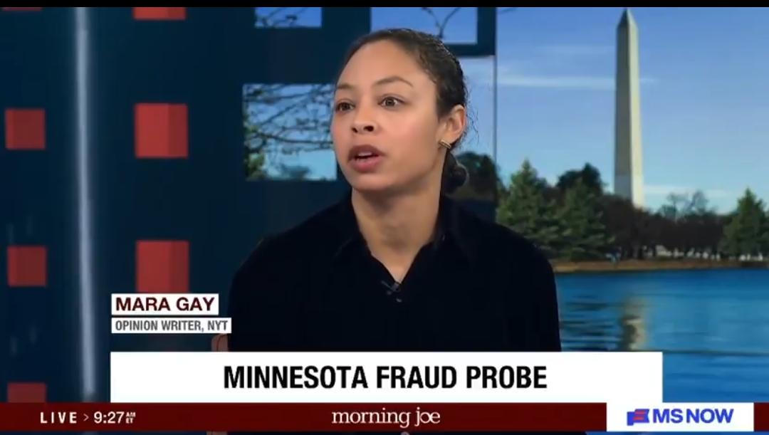 🚨🇺🇸🇸🇴《纽约时报》玛拉·盖伊谈明尼苏达州欺诈案：“索马里人成了替