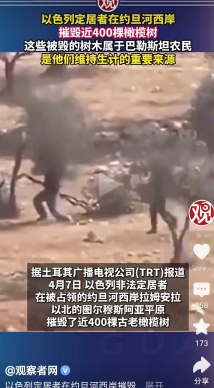 沙漠里种活一棵树要几十年，毁掉它只需要一把电锯——以色列人又一次用最卑劣的方