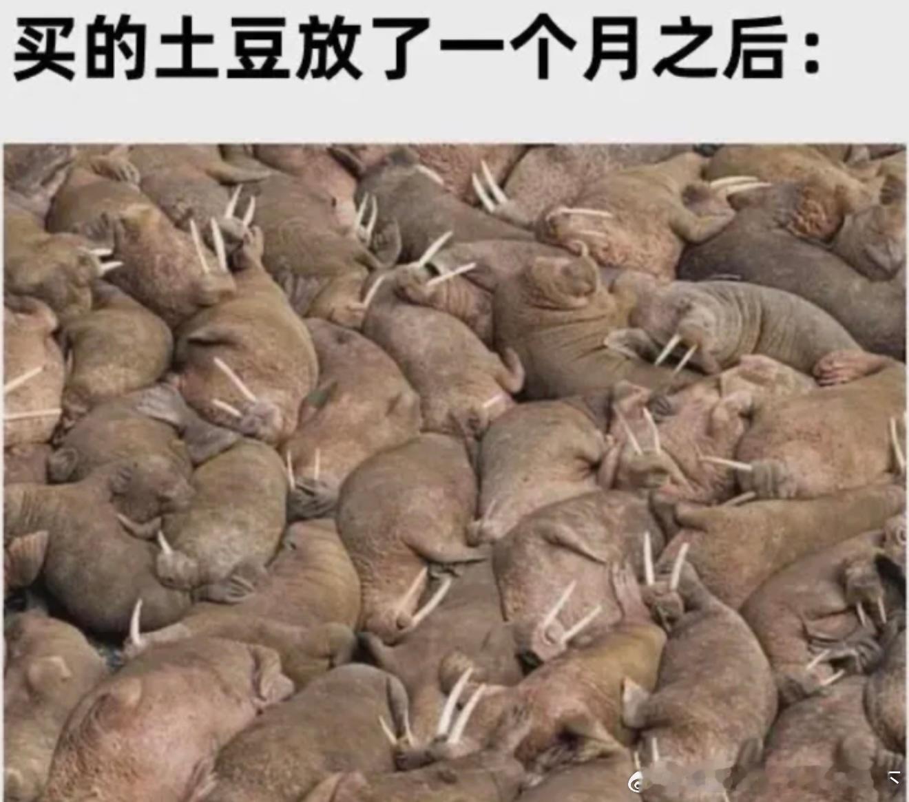 6635啊……这