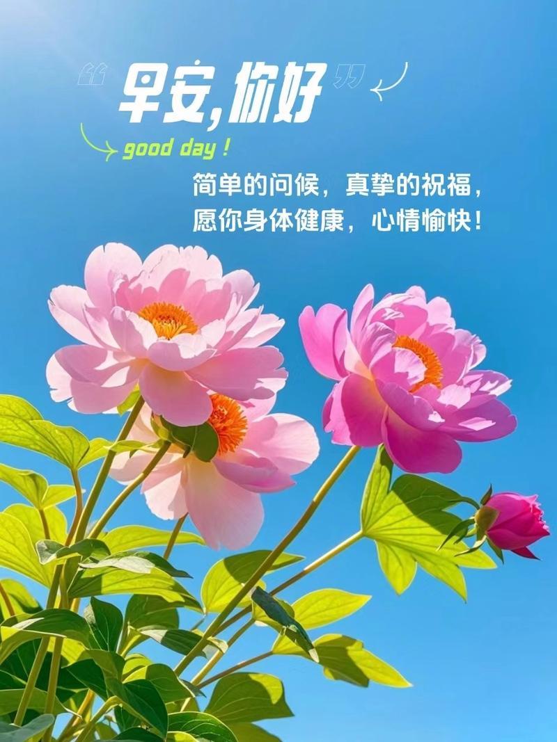 “晨光中的智慧：五句箴言助你心灵觉醒！”在晨光破晓时分，天色渐明，万物苏醒，