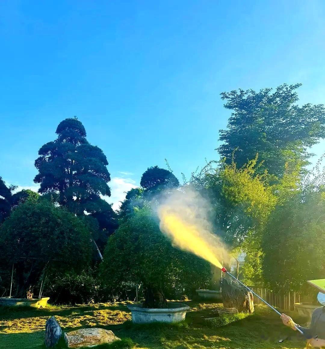 怪不得今年夏天家里蚊子少得离谱，我还真以为是天太热，把它们都“劝退”了。结果看
