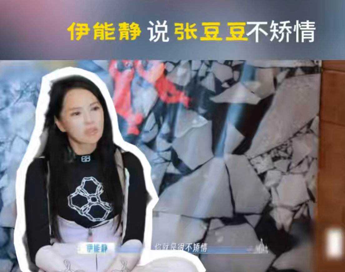 伊能静说张豆豆很不矫情妻子的浪漫旅行张豆豆说自己发语音从不回听，发了就发了。在