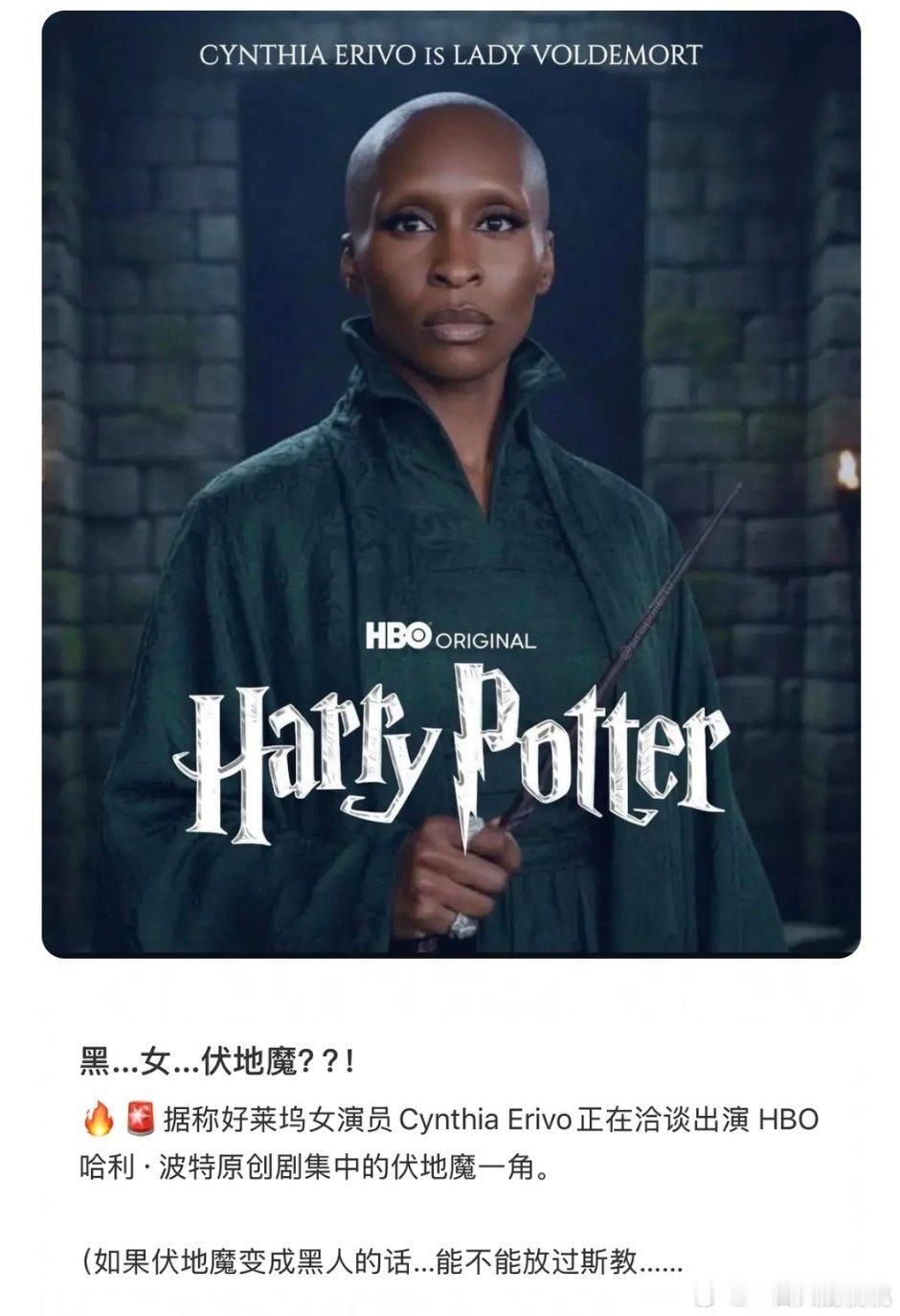 魔法坏女巫重生之我是伏地魔